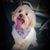 Mariana Velasco's profile image