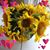 Terri Knox's profile image