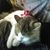Joseph D. Pelland's profile image