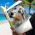 Linda Blint's profile image