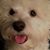 Patti Franklin's profile image