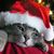 Jim Thomas's profile image