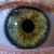 Craig Hunting's profile image