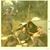 Bill Wyrick's profile image