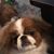 Maranda Pelkey's profile image