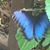 Paulette Parente Hahn's profile image