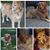 Amy Boroski's profile image