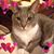 Cara Crowell's profile image