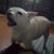 Shirley Bilbrey's profile image