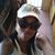 Tammy Wilborn's profile image