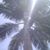 Leticia Harrell's profile image