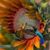 Georgia Higby-Saucedo's profile image