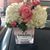 Sandra Gutierrez Jimenez's profile image