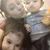 Roxy Arizpe's profile image