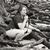 Kathy Dennehey's profile image