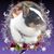 Lori Burton's profile image
