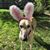 Sharon Richardson's profile image