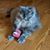 Liz Smith's profile image
