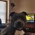 Brian Bennett's profile image