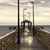 Amy Koos's profile image