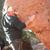 Thomas Matheny's profile image
