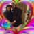 Eliezer Yanet's profile image