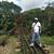 Carlos Fernando Riascos's profile image