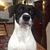 Debra M Williams's profile image