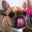 Lily Nishita's profile image