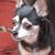 Lynn Rogala's profile image