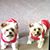 Davis Mary Ann's profile image