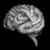 Alan Maloon's profile image