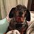 Maryann Bannister's profile image