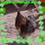 Libbie Pfefferle Trott's profile image