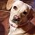 Linda Sisson's profile image
