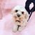 Alicia Pettit's profile image