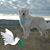 Candy Hartman's profile image