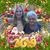 Judith Mosier's profile image