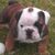 Dawn Garthwait-mckinley's profile image
