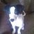 Jennifer Ruiz's profile image