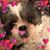 Suzanne Leimkuhler's profile image