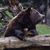 Caitlin Miller's profile image