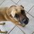Win Maddin's profile image