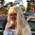 Anita Amundsen's profile image