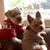 Susan Turner-Callaghan Watt's profile image