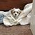 Deborah Rice Halvorson's profile image