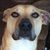 Kathy S Bucy's profile image