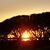 Donna Theresa Dombrosky's profile image