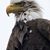 John Jarczynski's profile image