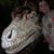 Ray Martin's profile image